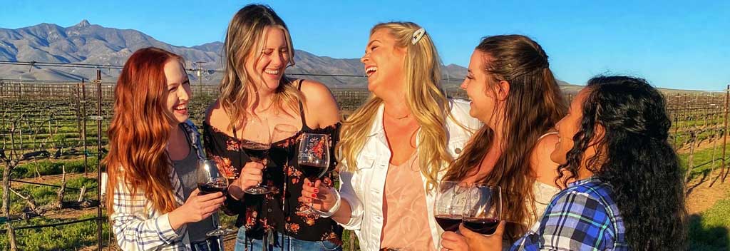 Fivesome of young ladies smiling in the vineyard