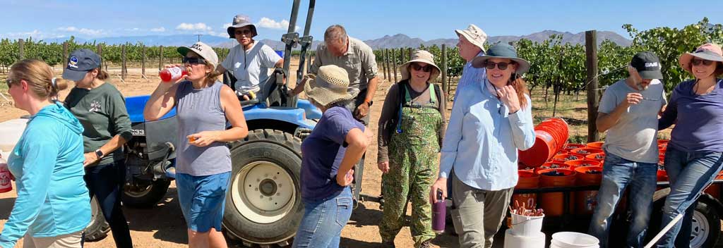 Monastrell 2023 picking crew - thank you