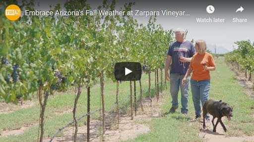YurView intro to Zarpara video showing Mark and Rhona in Sangiovese
